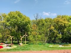 -上海共青森林公园