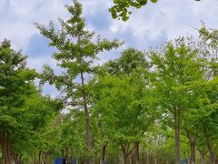 -旧宫(地铁站)