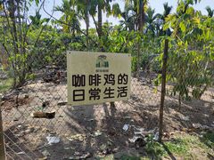 -万兴启丰椰子文化园餐厅