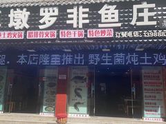 -草墩罗非鱼庄•野生菌•腊排骨(七星街上段店)