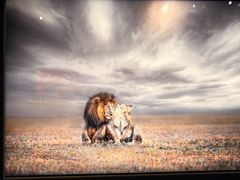 -罗红摄影艺术馆