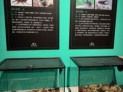 -成都银泰中心in99