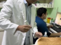 -圣宠动物医院·犬猫专科·影像中心·外科中心