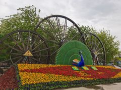 -呀路古热带植物园