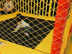 -不可思议减压馆·解压博物馆·摔碗发泄·团建定制