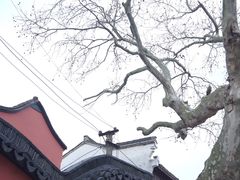 -丝绸小镇荻港古村