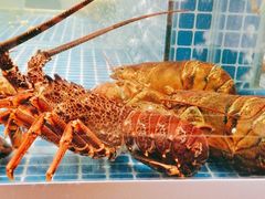 -阿明小菜·海鲜·上海菜(梅陇店)