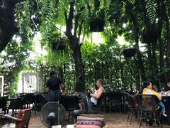 -Fern Forest Cafe