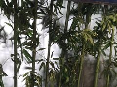 -蠔友汇(皇姑店)