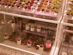 -KKV(天津津南吾悦广场店)