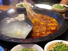 -杨家火锅(国美店)