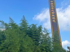 -茯茶镇