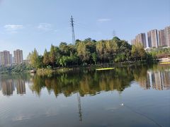 -重庆彩云湖湿地公园