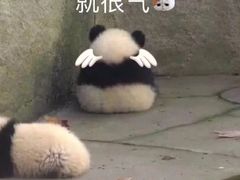 -爆炸头阿姨小四川正宗川味小吃(无任何分店)