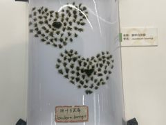 -浙江自然博物院(杭州馆)