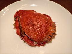 -南湖名都·景湖轩全日制餐厅·海鲜自助·东南亚风味·临湖而食