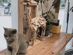 -COTTON CAFE(德信·中外公寓店)