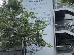 -上海中航虹桥机场泊悦酒店