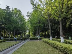 -苏州河梦清园环保主题公园