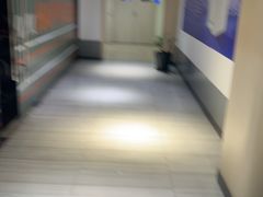 -汇乐游泳馆(莲花南路店)