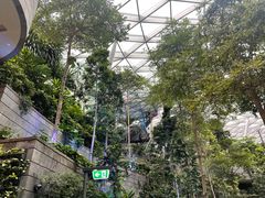 -樟宜机场免税店