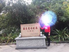 -小洲村