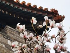 -东华门大街小区
