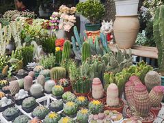 -三圣花乡旅游区