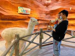 -酷嗒动物文化乐园(cutezoo西溪乐天城店)