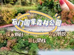 -广州市石门国家森林公园