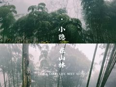 -莫干山风景区