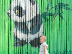 -鄂尔多斯野生动物园