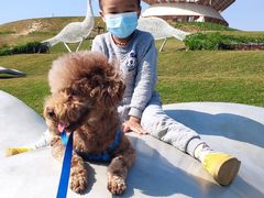 -光明小镇欢乐田园