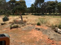 -威勒比开放式动物园