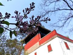 -普陀宗乘之庙(小布达拉宫)