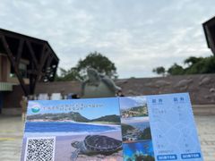 -广东惠东海龟国家级自然保护区