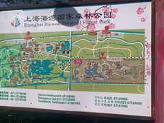 -上海海湾国家森林公园