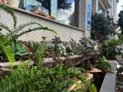 -野菌皇海景野生菌火锅(滨海大道店)