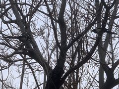 -甘井子公园