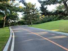-棒棰岛宾馆景区