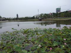 -西海子公园