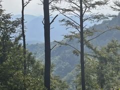 -莫干山风景区