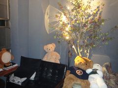 -咖法森林·咖啡  酒吧(天河店)