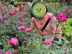 -人民公园(罗湖区)