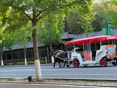 -兰陵国家农业公园