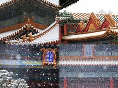 -故宫博物院(故宫)