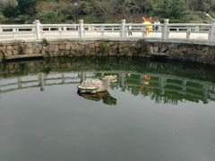 -白马涧龙池景区