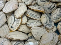 -初色海鲜自助(万丰路店)