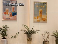 -雅克雅思(纱帽河店)