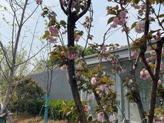 -逅莱·影院足道·日式SPA(大世界店)